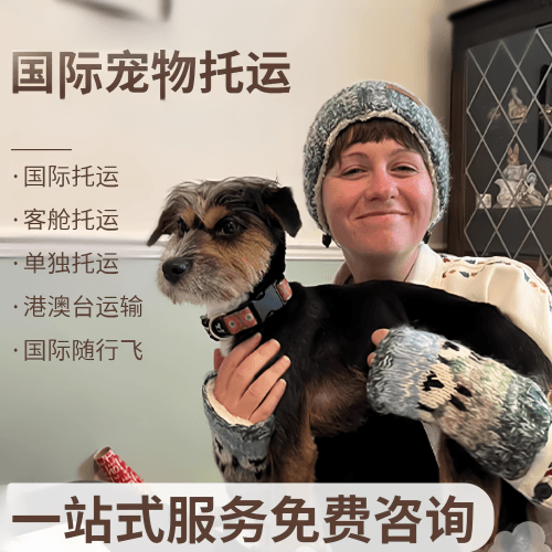 南京市国际宠物托运到阿根廷宠物入境规定和要
