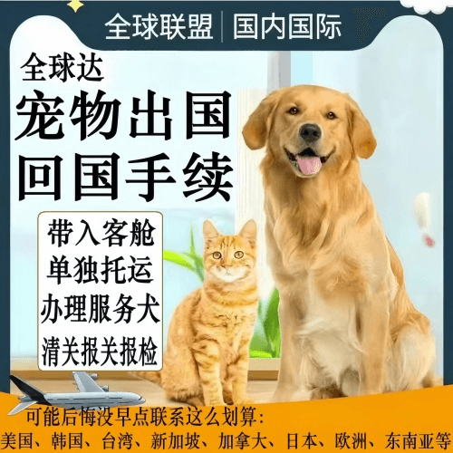 南京市宠物托运到柬埔寨宠物入境规定和要求