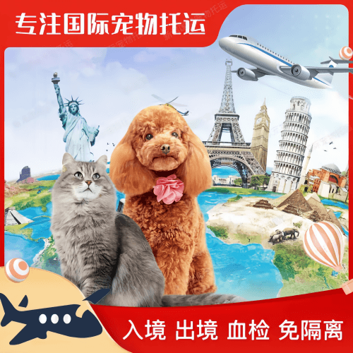 南京市宠物托运到美国宠物入境最新规定和要求