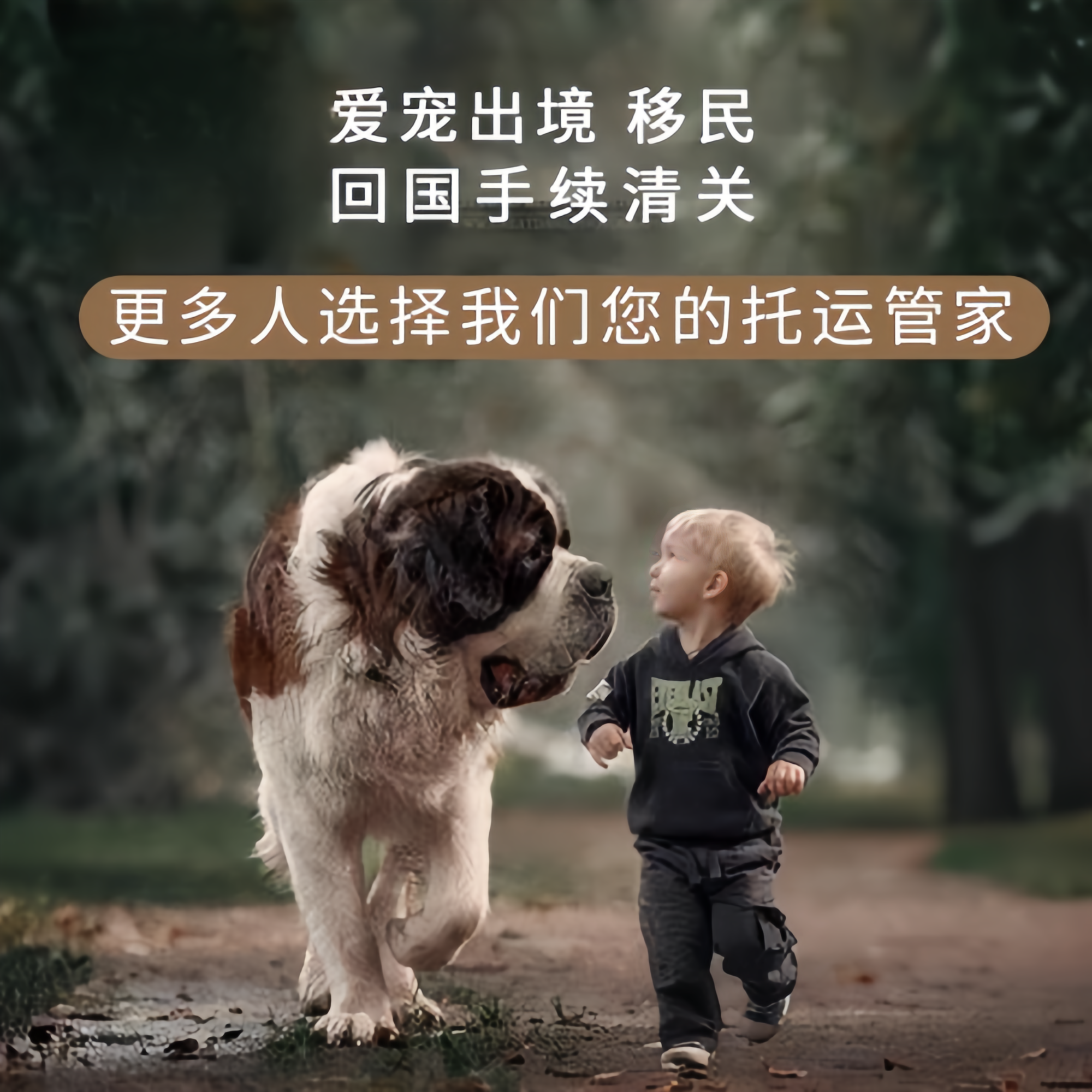 满财南京市宠物全球达宠物托运在遵守入境目的地政策的条件