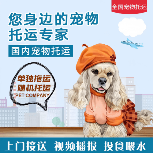 满财南京市宠物全球达宠物托运作为专业的宠物运输代理机构